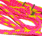 Pink Reins